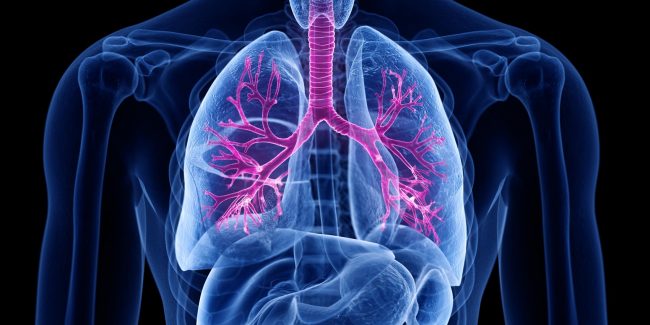 什么是慢性阻塞性肺病 (Chronic Obstructive Pulmonary Disease)，為何與新冠疫情有關(guān)？